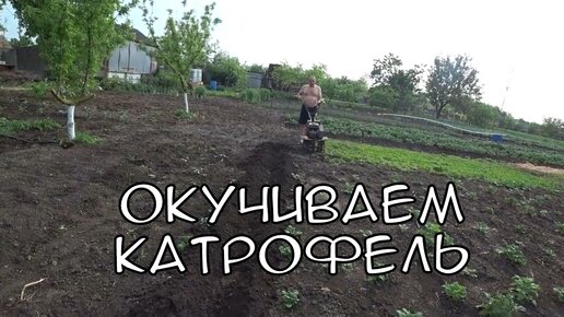 Окучили нашу картошку/купили курам жмых/купили новые вещи/