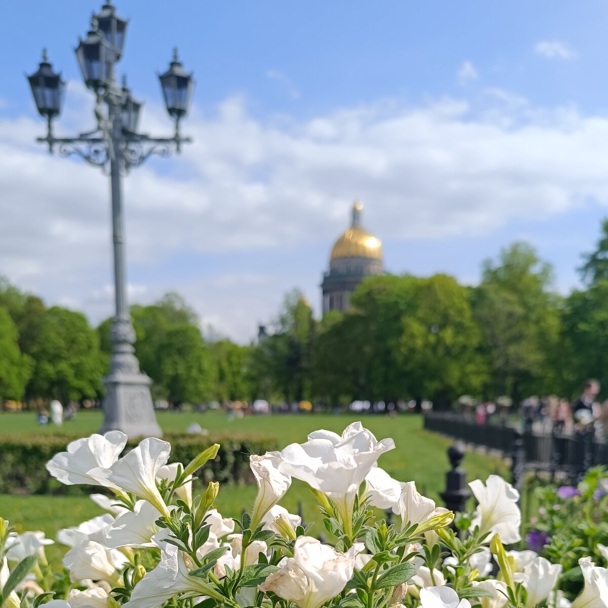 Фото автора канала Питер на все случаи жизни