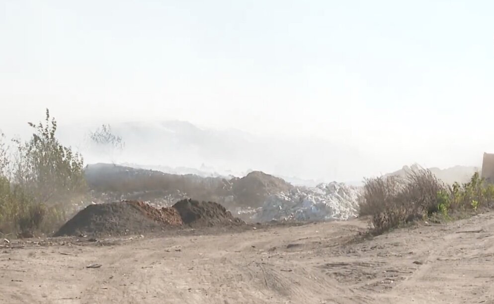    Отходы со свалки "Залесье" незаконно сваливали в лес