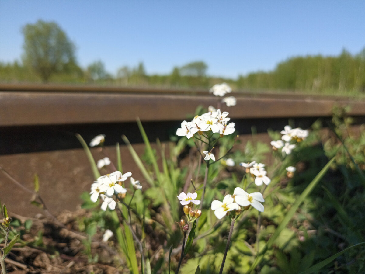 Солнечно и железнодорожно