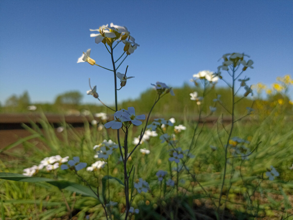 Солнечно и железнодорожно