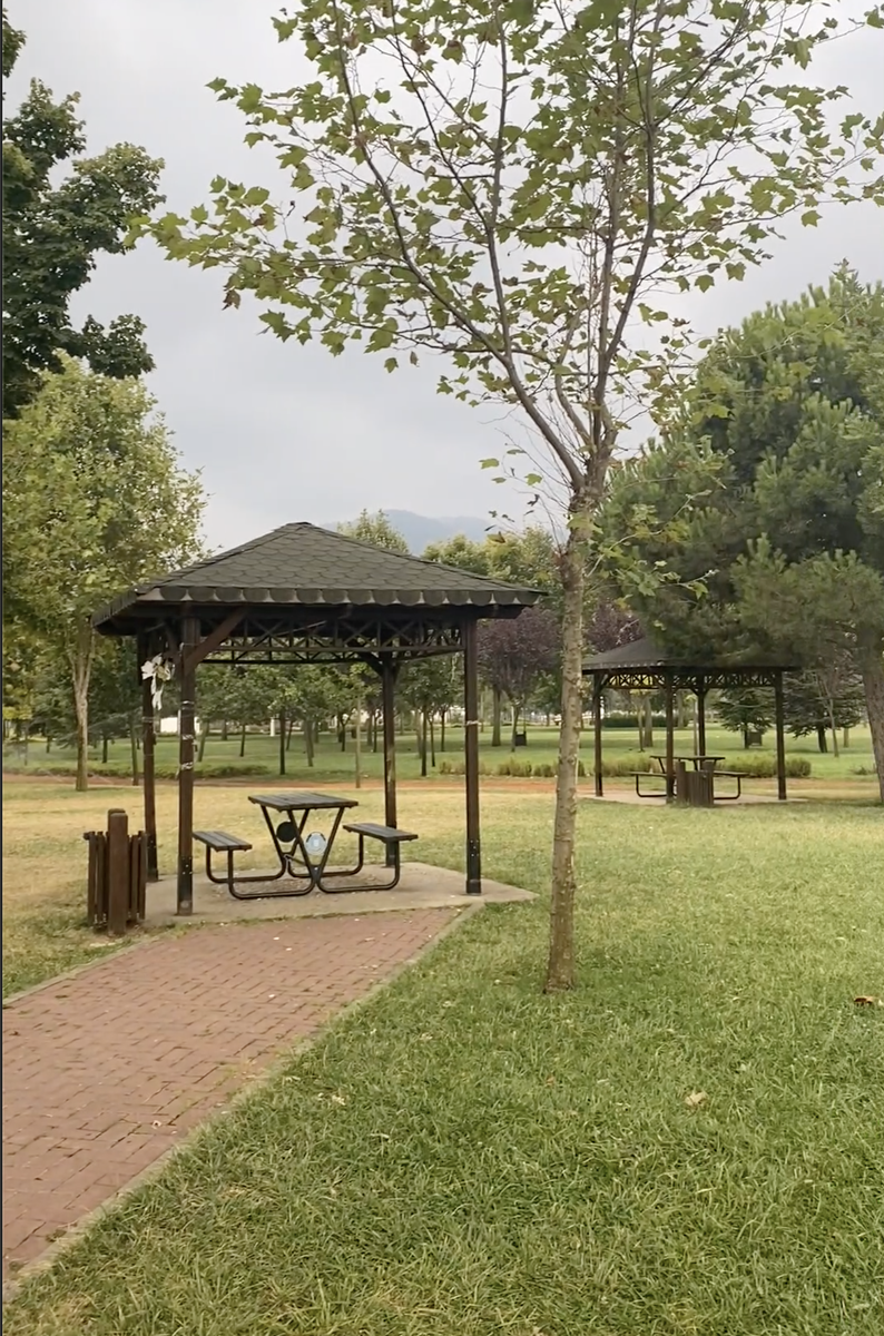 Места в парке для завтраков