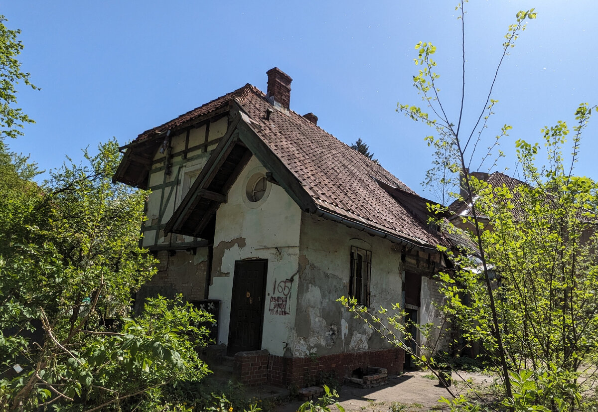 Калининград. Прогулка в стиле ретро по Амалиенау и окрестностям | Побег из  Шоушенка | Дзен