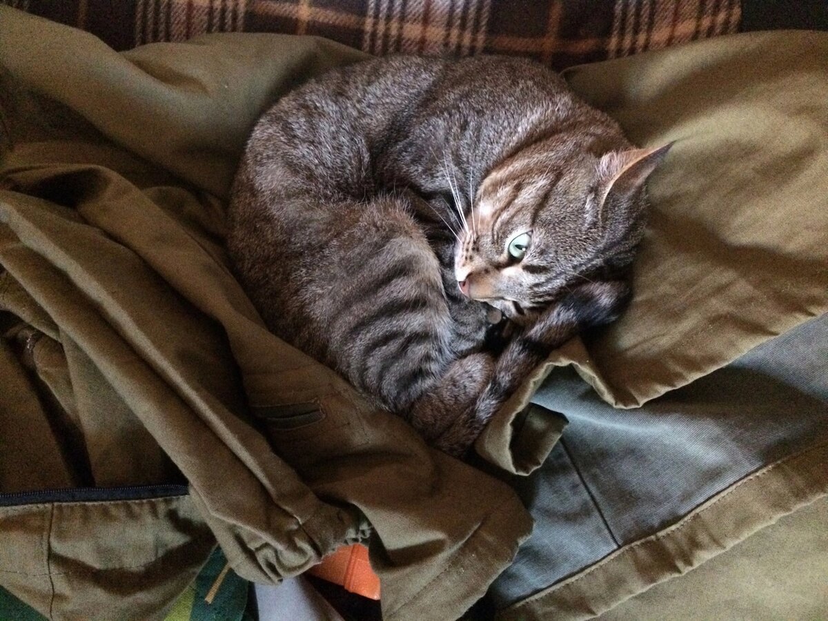 Фото: Татьяна Брюханова