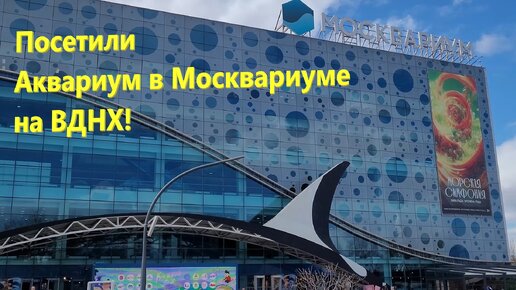 213. Аквариум в Москвариуме на ВДНХ. Подводная флора и фауна морей и океанов со всех уголков планеты