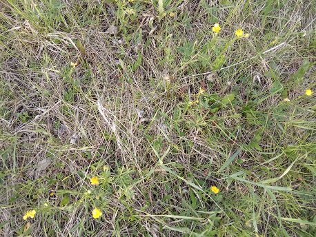 Фотография из личного архива автора