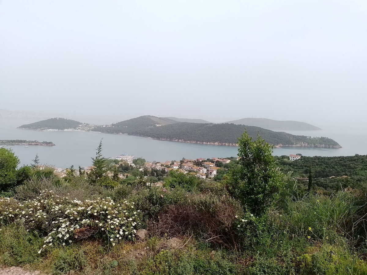 Принцевы острова утопают в зелени.