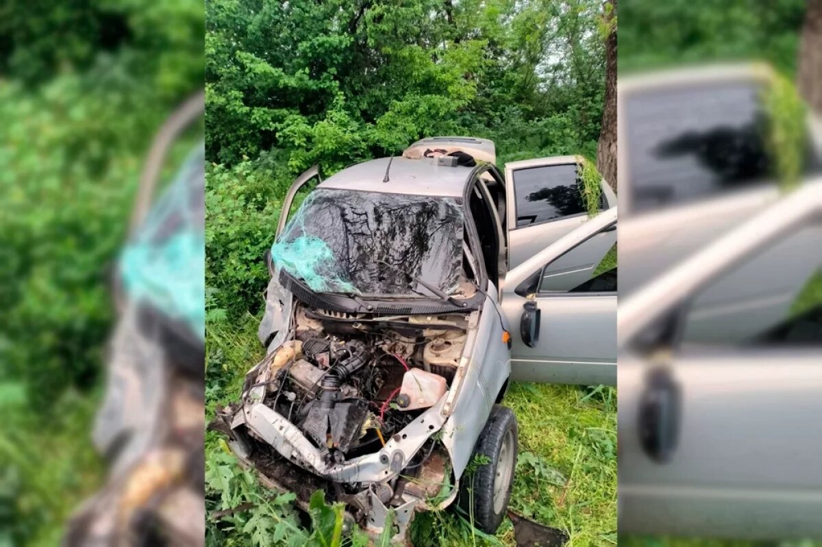    Бесправник на тонированной «Ладе» погиб, врезавшись в дерево на Ставрополье