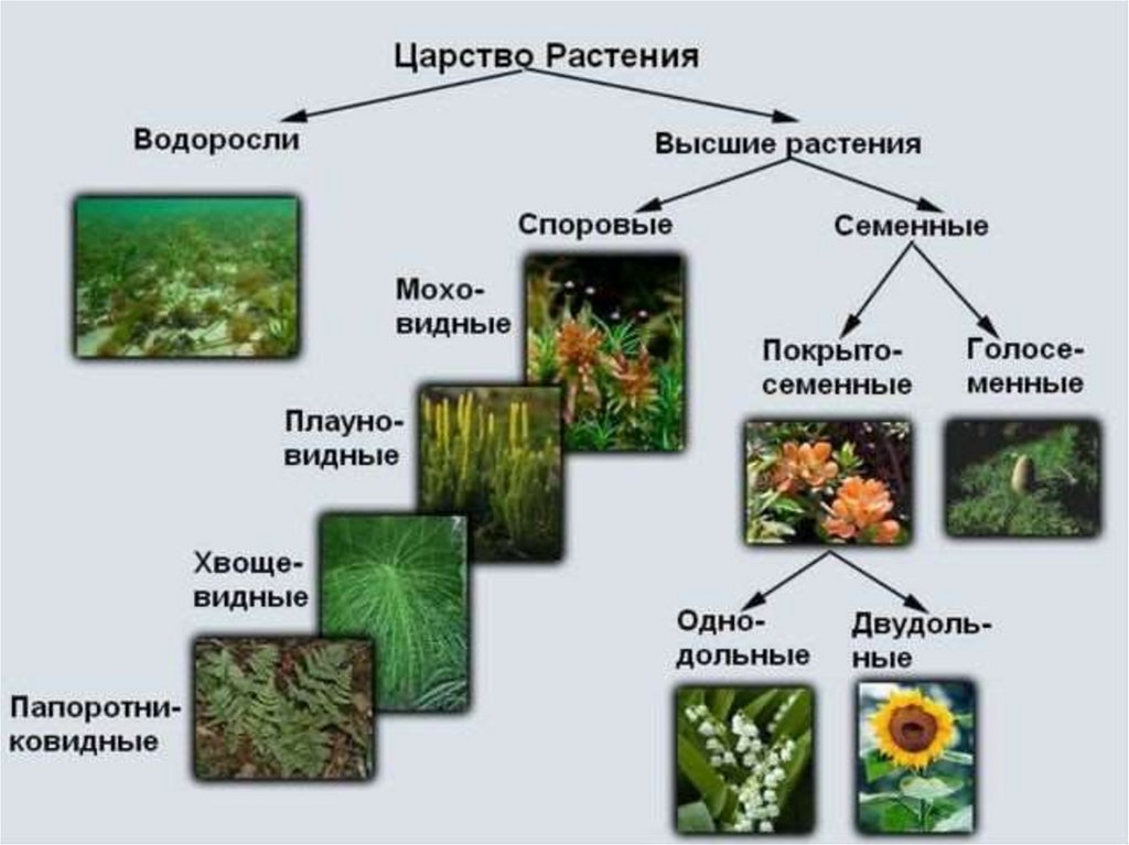 Посмотрели? А теперь забудьте, ибо это теперь неправда