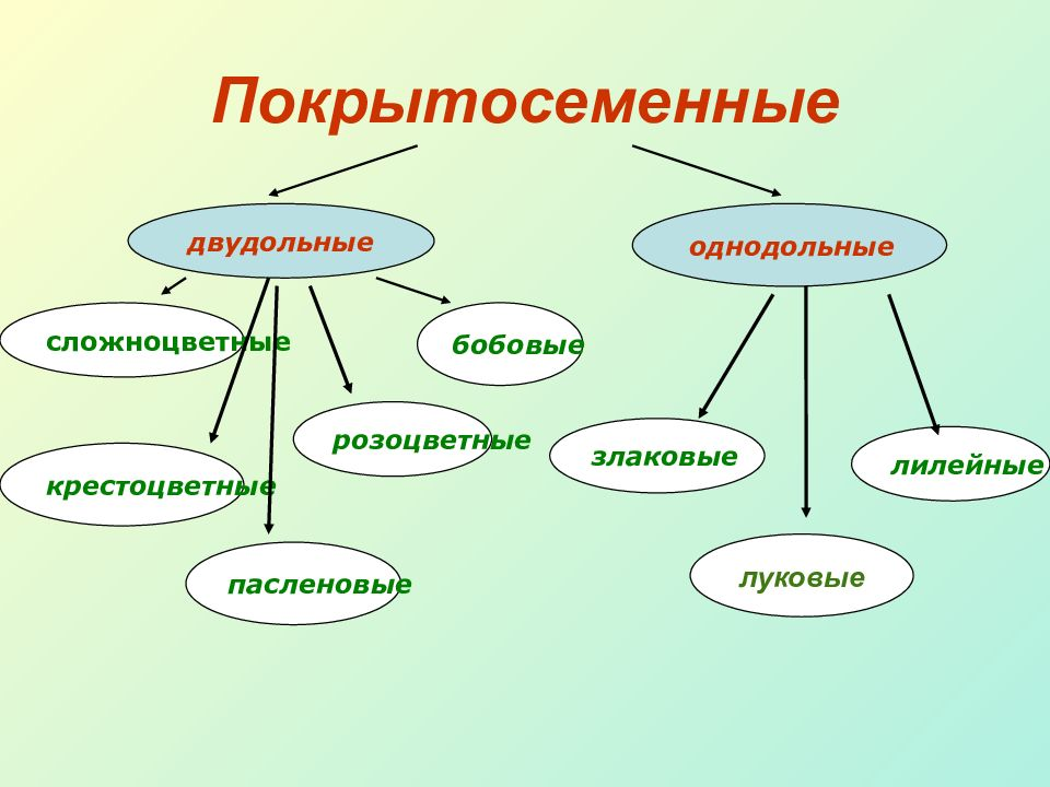 И это тоже уже не соответствует действительности 