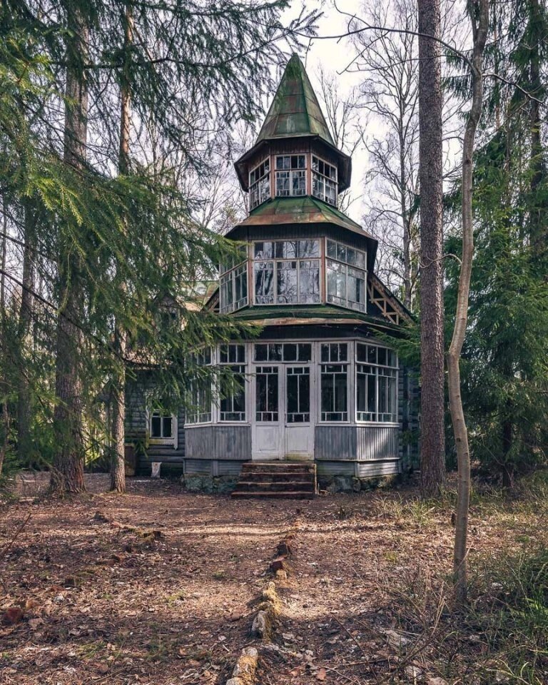 Дачи под питером фото