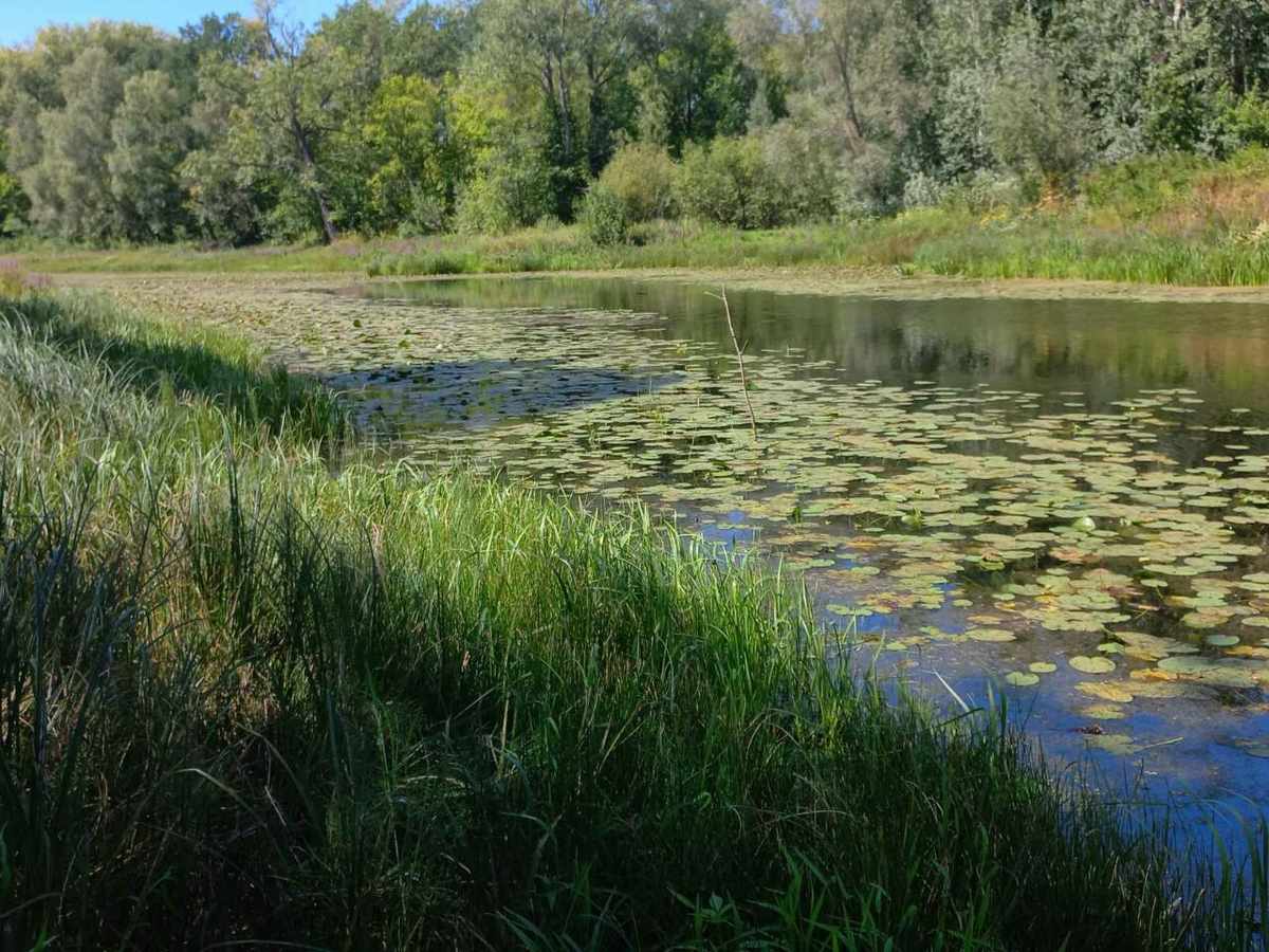 Фото автора.