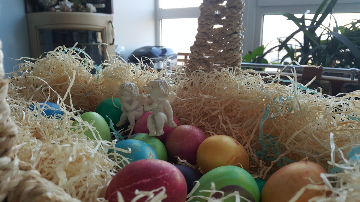 Фото из архива Фиолетового сна