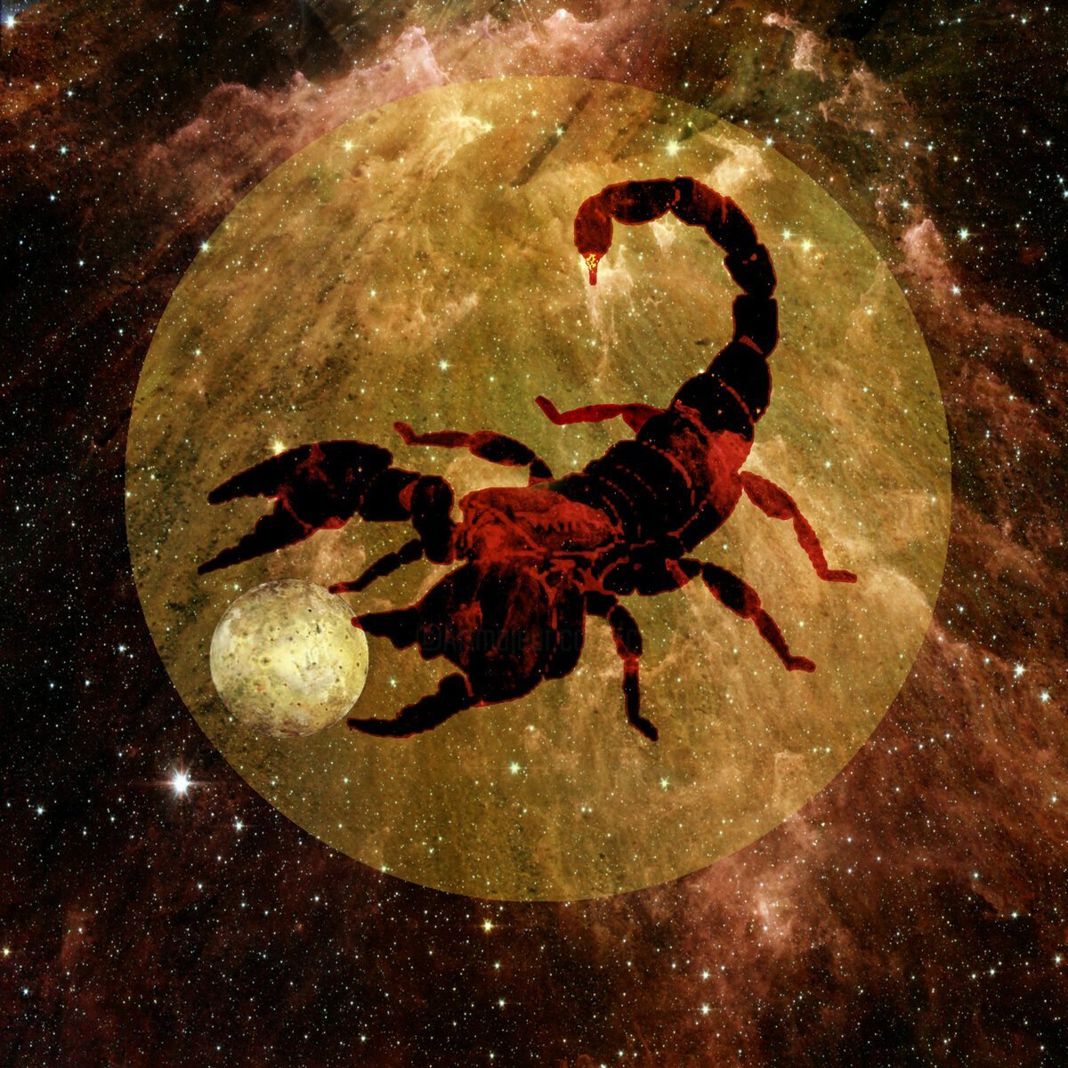 яндекс-картинки