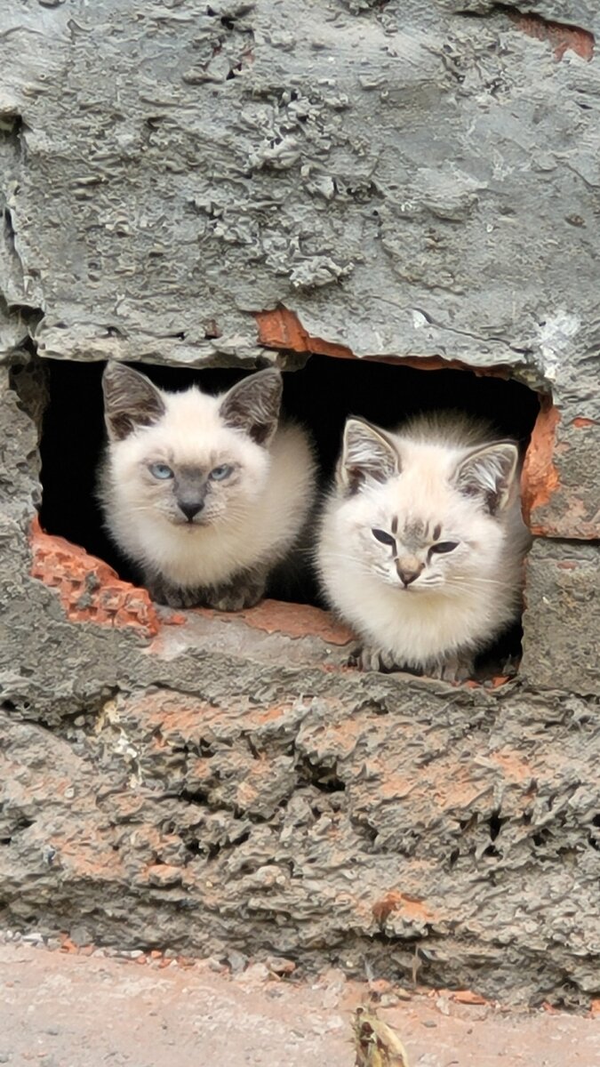 То самое фото из соцсетей.