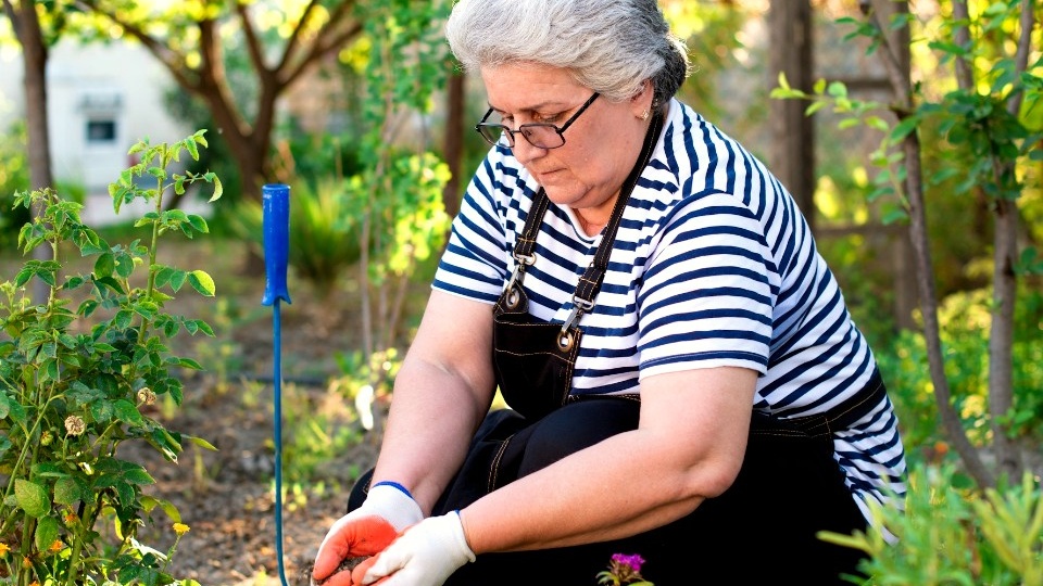 Бабушка подарила свою квартиру соседу по даче, хотя раньше завещала ее другому человеку: что решил суд