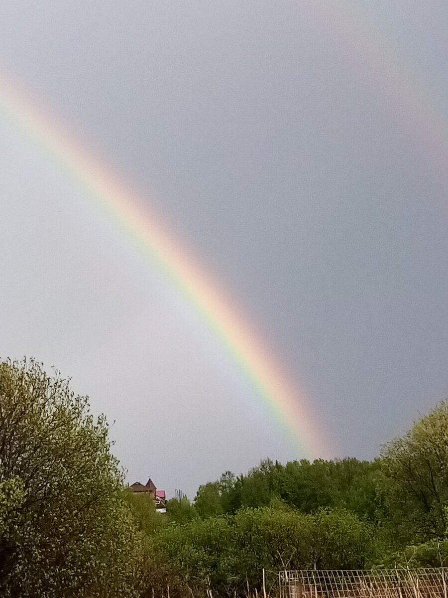 Фото из личного архива автора