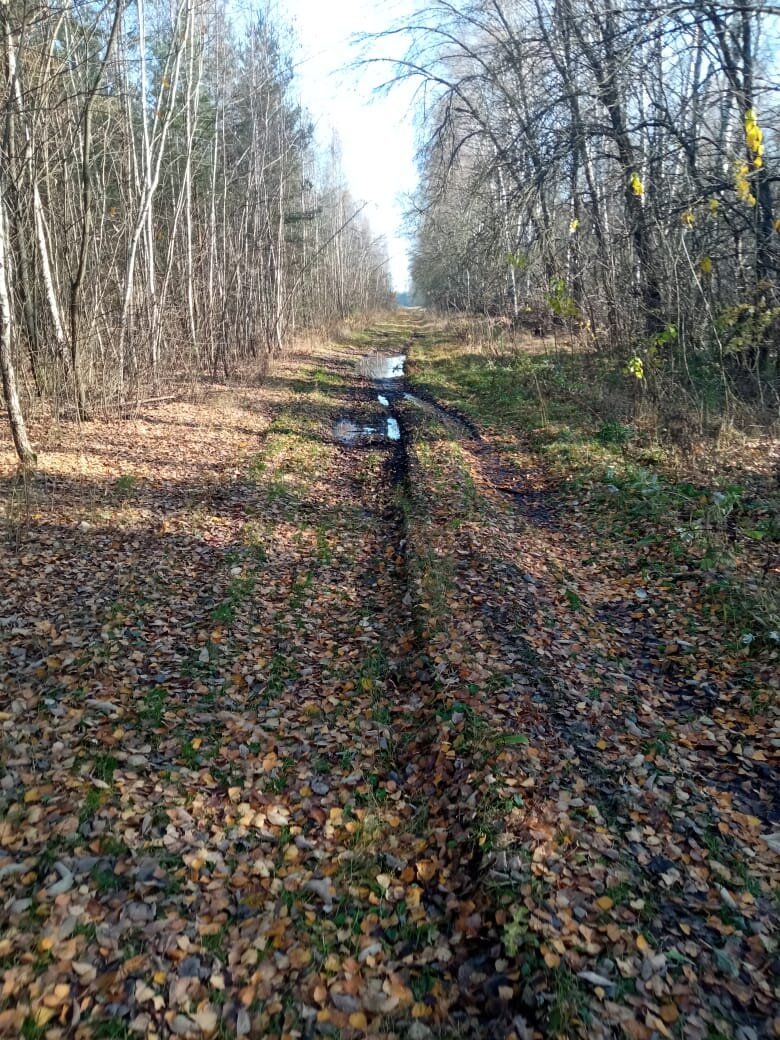 Фото из личного архива.