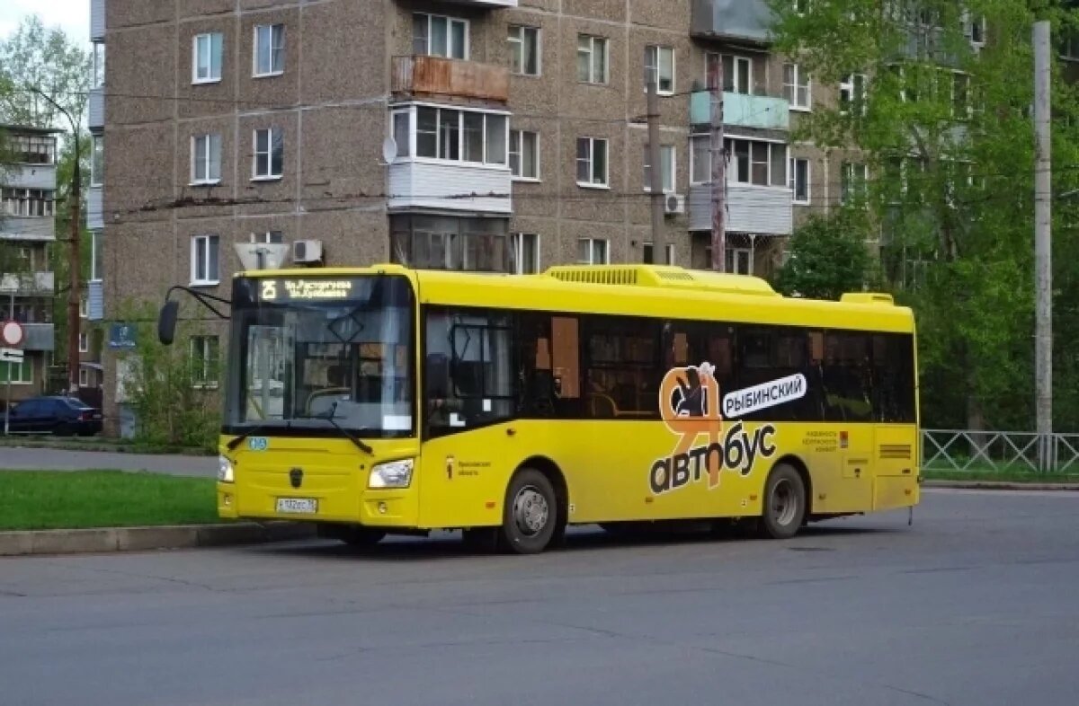    В Рыбинске появились новые автобусы