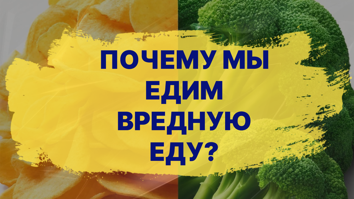 Почему мы можем съесть много чипсов, но мало капусты брокколи?