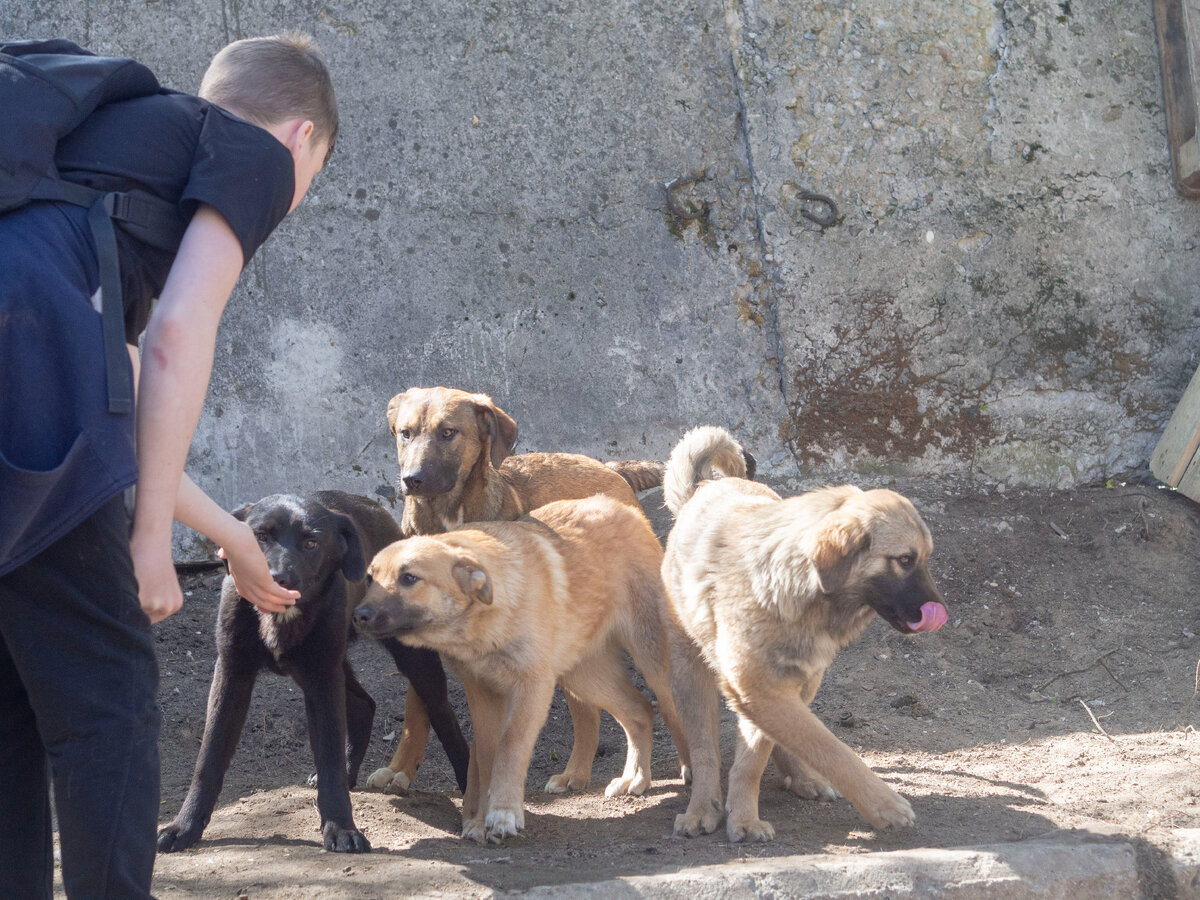 очередь за вкусняшками