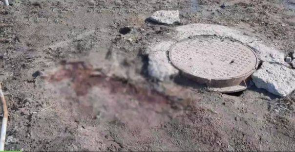Очередной культурный обмен между детьми гор и русскими девушками произошел вчера в Севастополе.-5