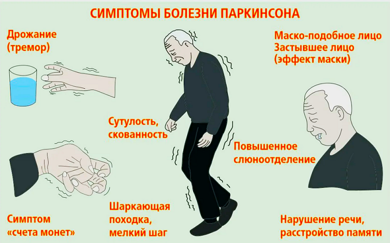 Добавьте описание