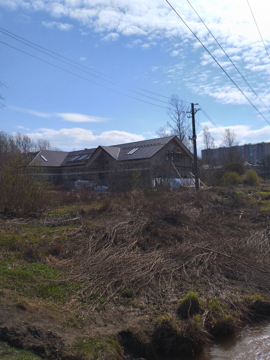  Так выглядело здание в конце апреля 2024 года. Видно мололую листву. У здания появилась декоративная полоска