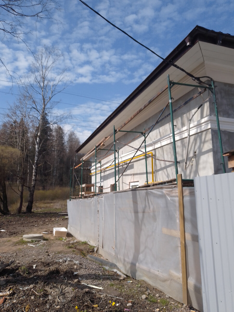 Декративная полоска. Видно мать-и-мачеху. Берёзы ещё не оделись листвой