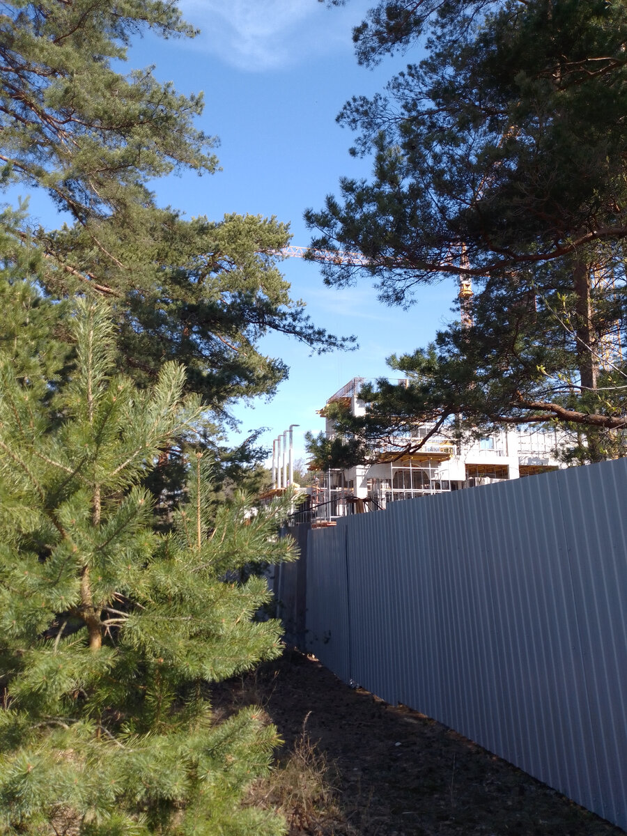 Строительство спортивного комплекса