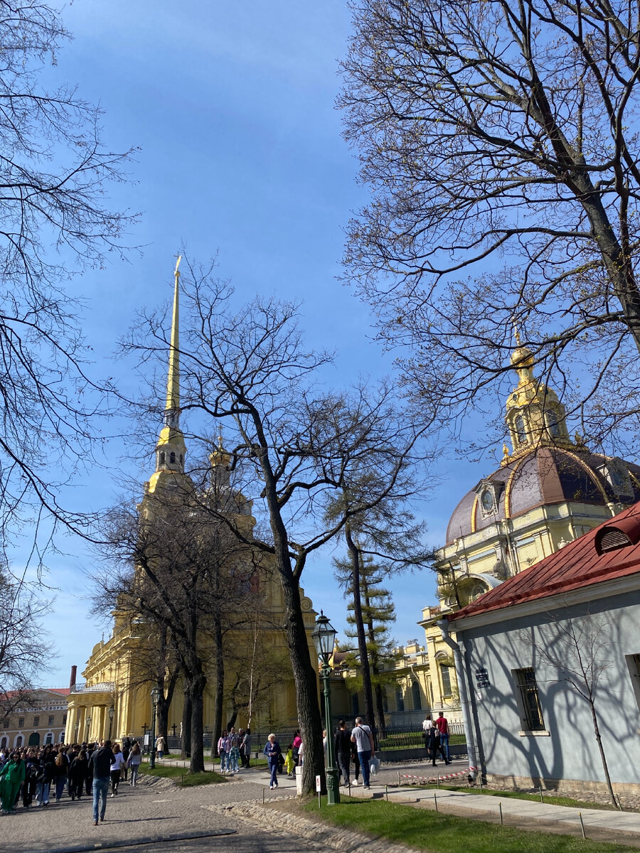Фото автора. Так выглядят планы на день 