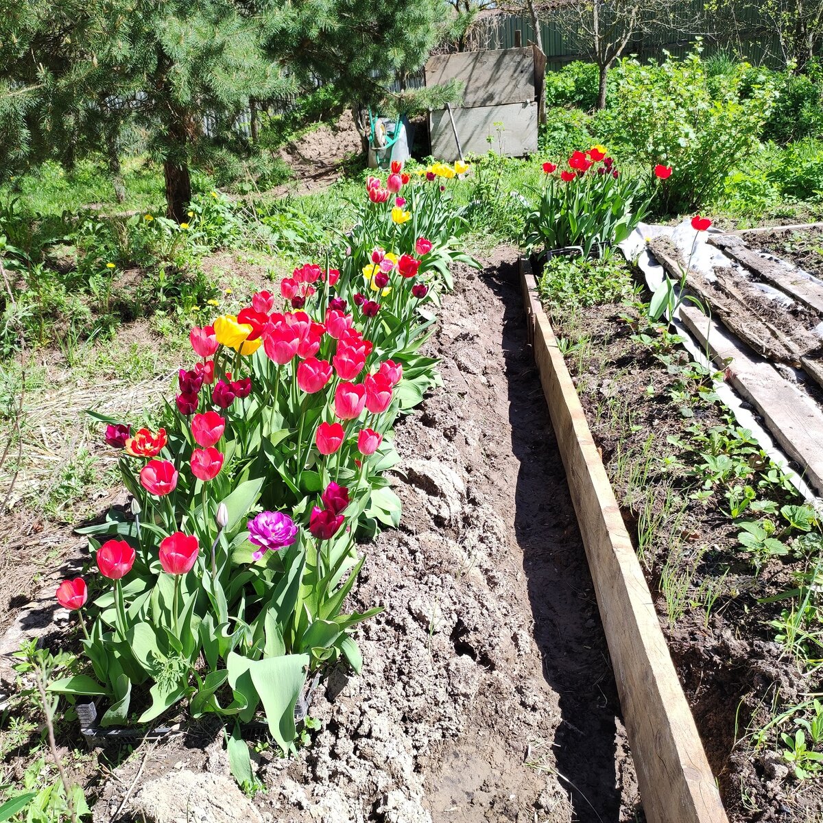 В процессе весенних работ