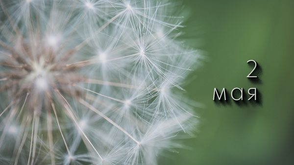    © Photo : Jessica Lewis: Pexels