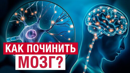 Мозг заработает на 100%! / Как ВЫРАСТИТЬ новые нейроны и УЛУЧШИТЬ память?