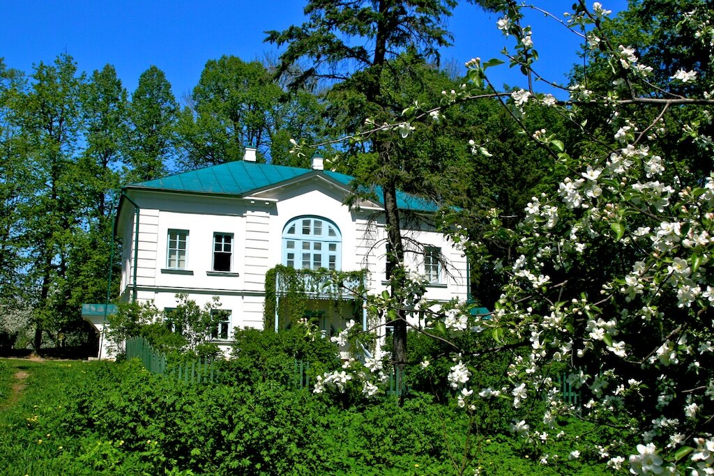 Ясная Поляна, Тульская область