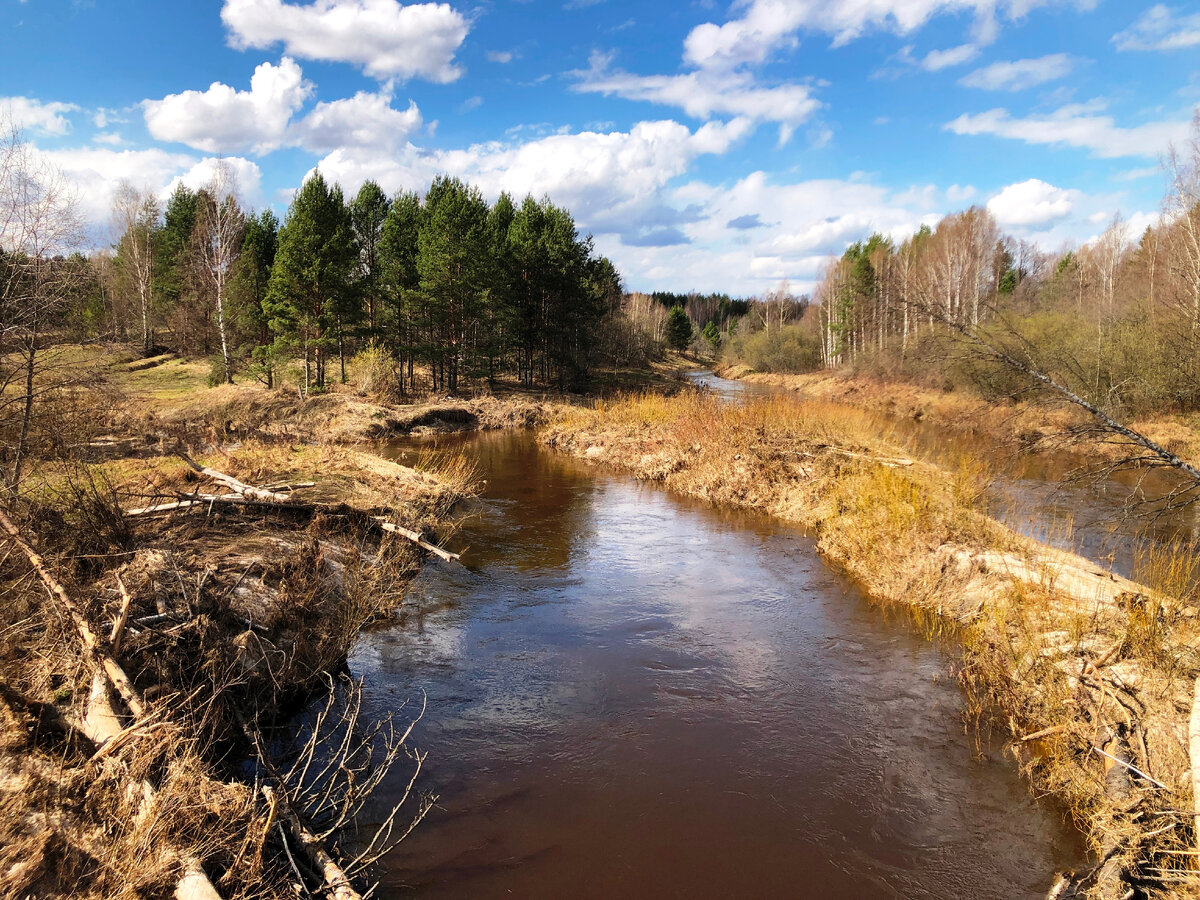 Место слияния двух таежных рек.