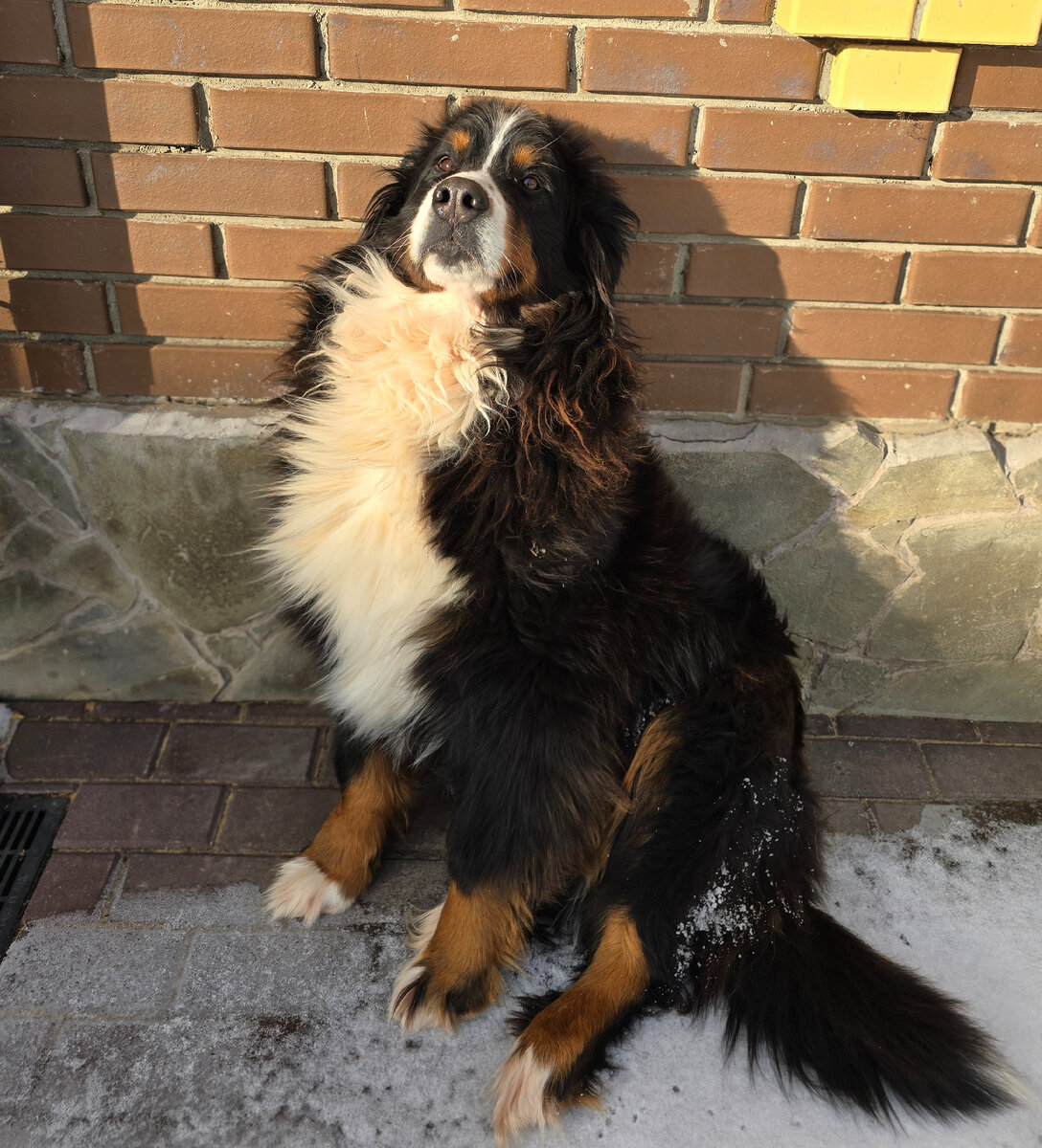 Спи, моя девочка ❤️