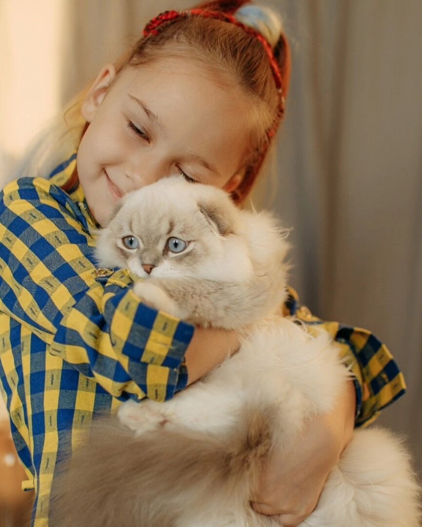 Кошки - модели для фото сессий