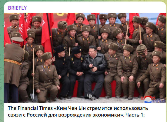    Скриншот//t.me/briefsmi