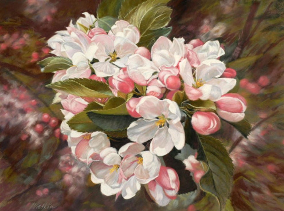 Барри Уоткин. Яблоневый цвет. Пастель. Размер: 50 х 39 см. http://www.barrywatkin.co.uk/GicleePrints.html