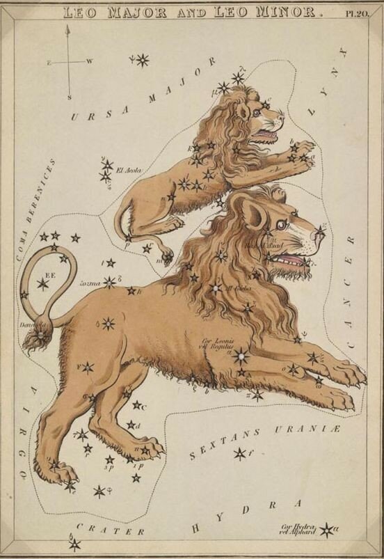 Рисунок созвездия Льва из атласа польского астронома Яна Гевелия.
