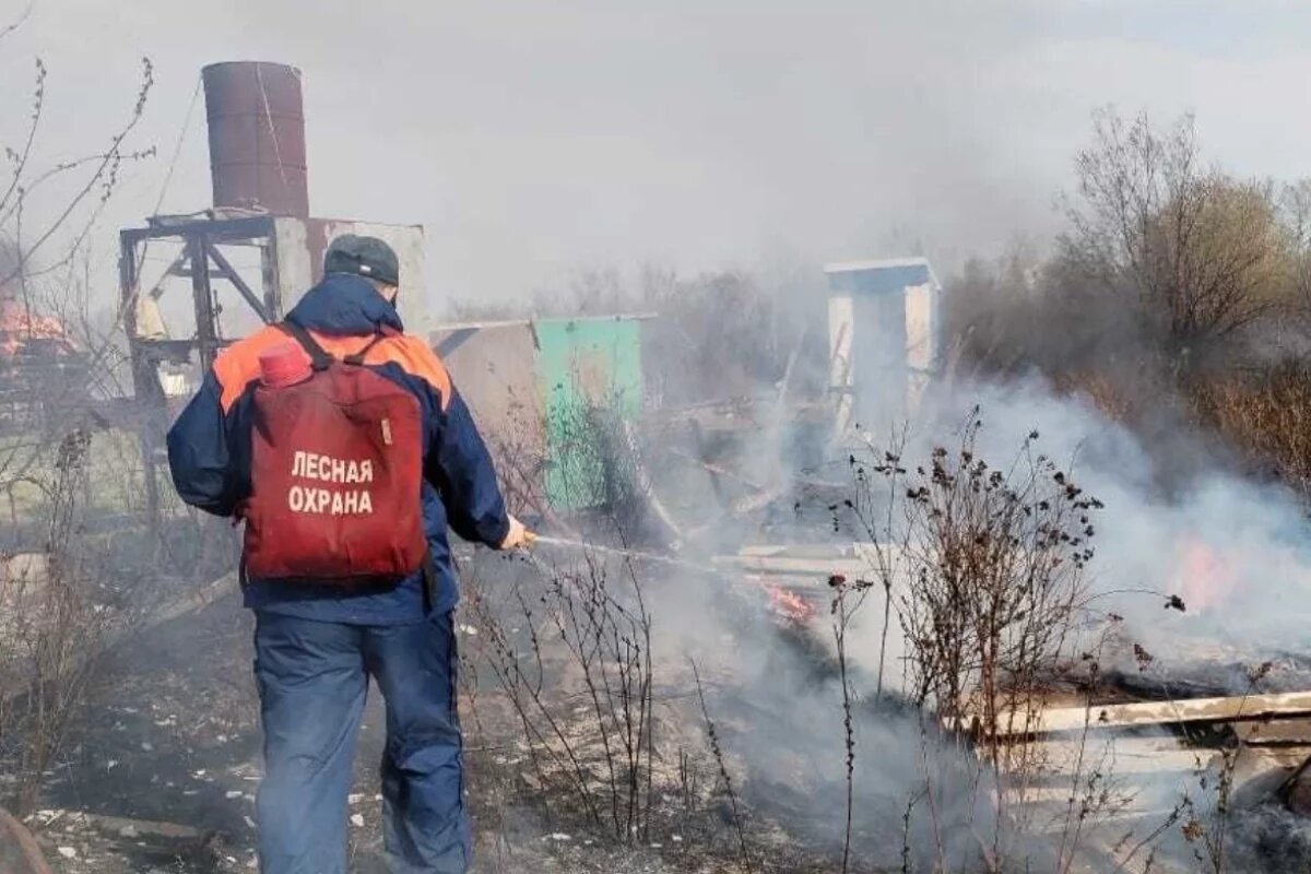    Пожар уничтожил больше десятка дач в СНТ в Хабаровском крае