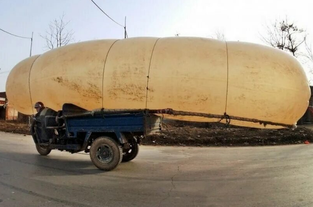 Похоже на дирижабль, да?