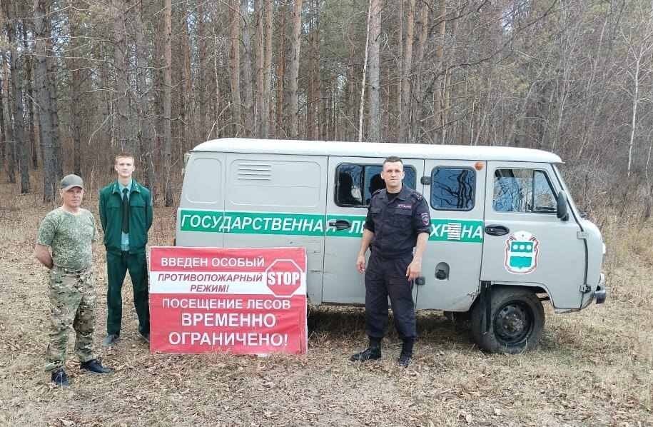    Фото: Благовещенское лесничество