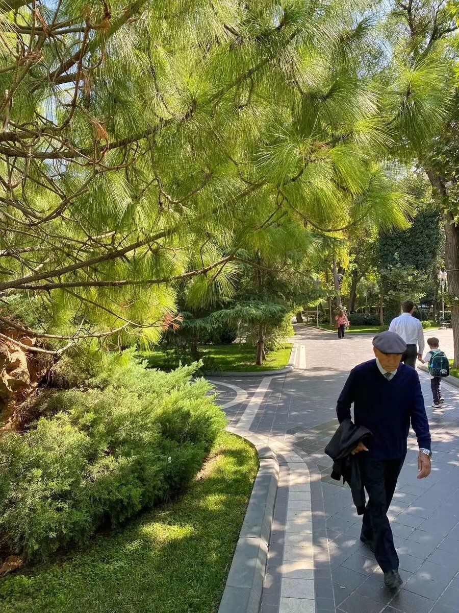     Источник: t.me/modno15minut