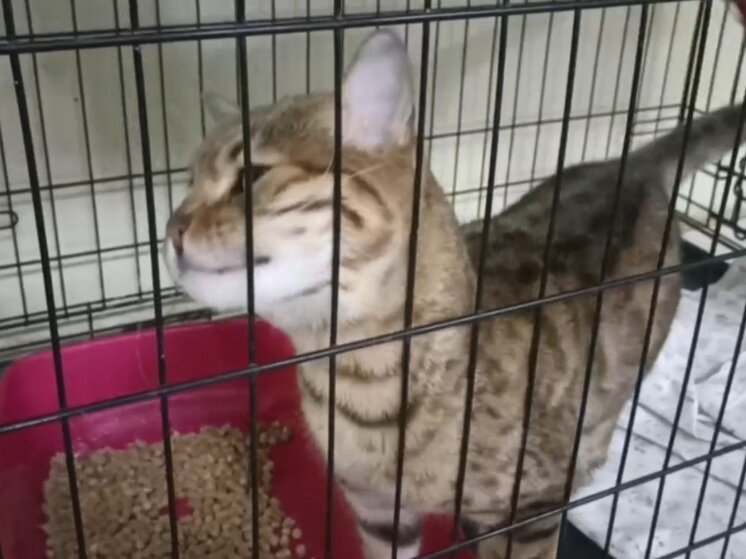     Архив «МК в Оренбурге»