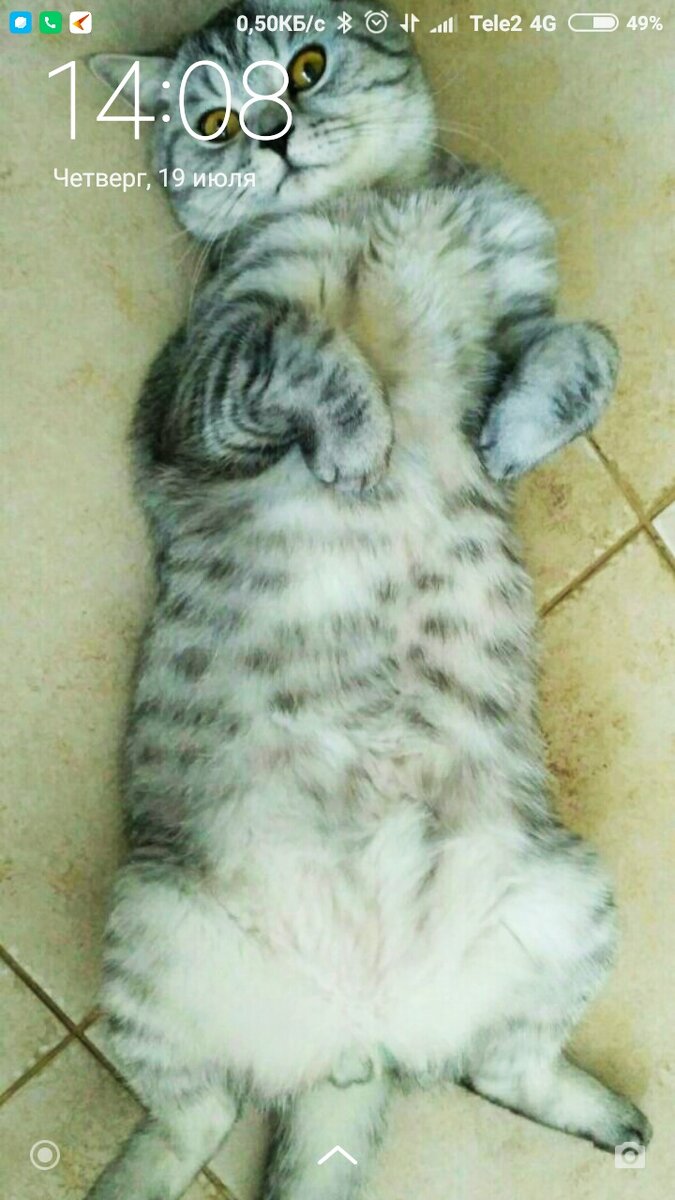 Яндекс. Открытый источник 