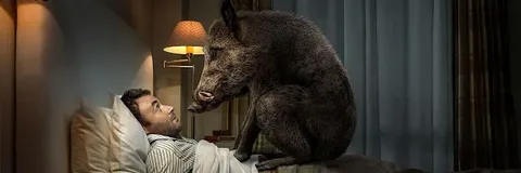 Сказка рассказанная ближе к утру... которое вечер... к полуночи дневного часа...  зари... рассветной... дня за утра... 