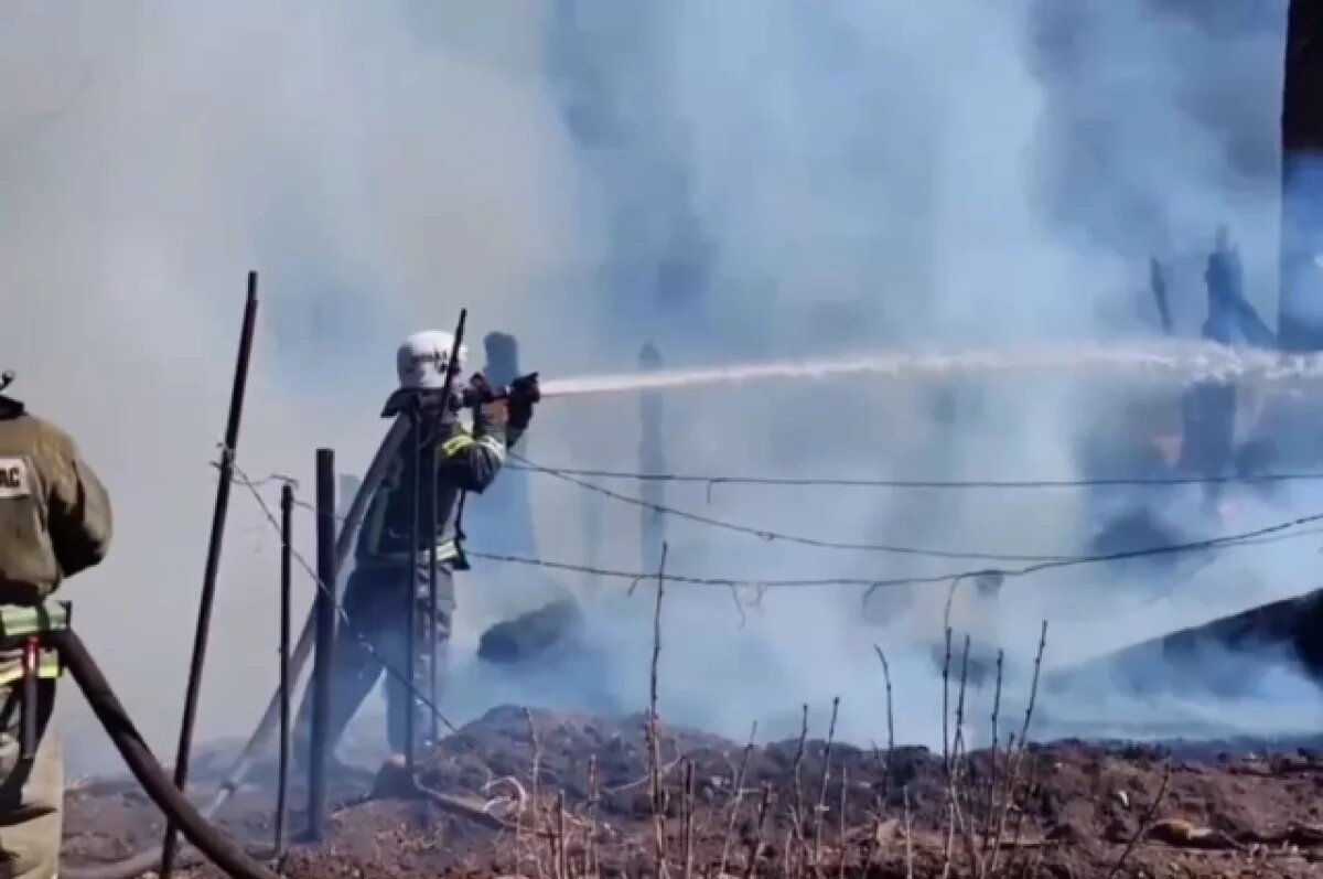    Ликвидация перешедшего с дач лесного пожара под Читой продолжается