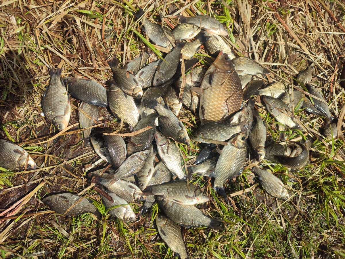 Первомай 2024.